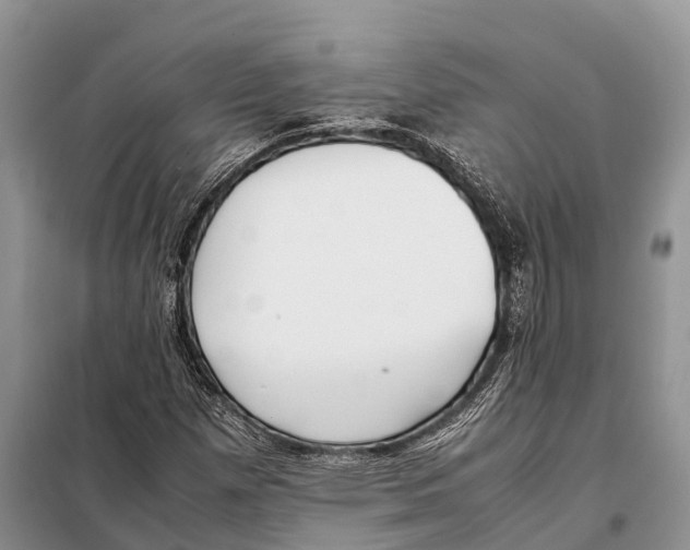 X0000097901257200804111035