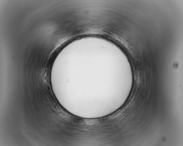 X0000097901258200804111035