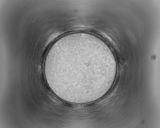 X0000097901259200804111035