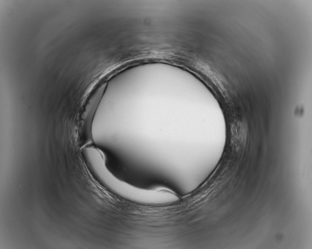 X0000097901260200804111035