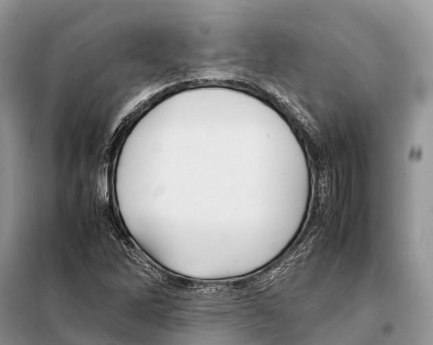 X0000097901262200804111035