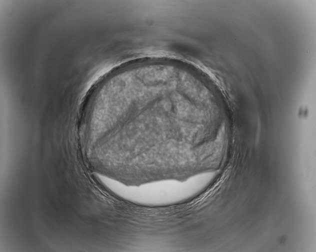 X0000097901263200804111035