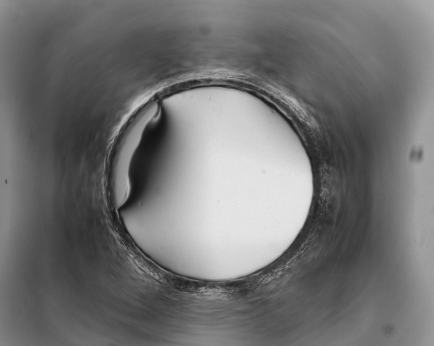 X0000097901264200804111035