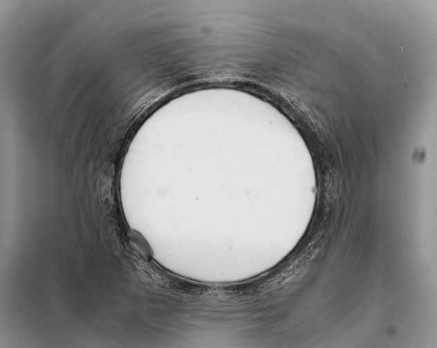 X0000097901265200804111035