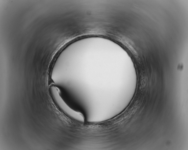 X0000097901268200804111035