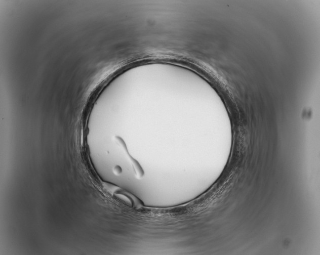 X0000097901269200804111035