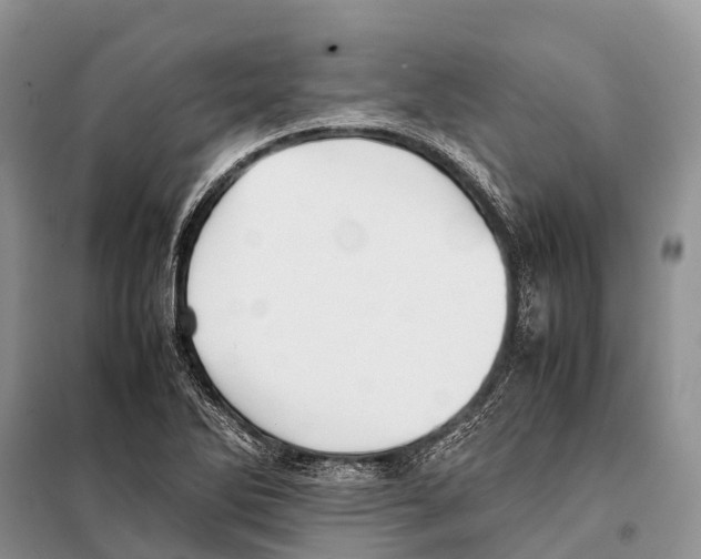 X0000097901270200804111035