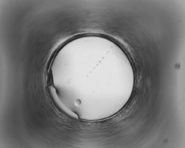 X0000097901271200804111035