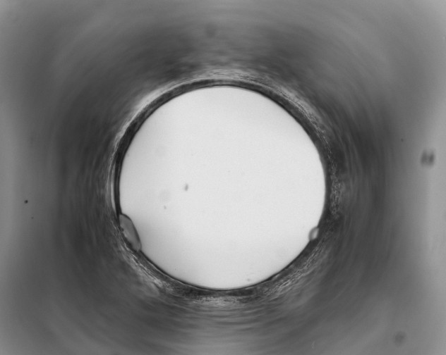 X0000097901272200804111035