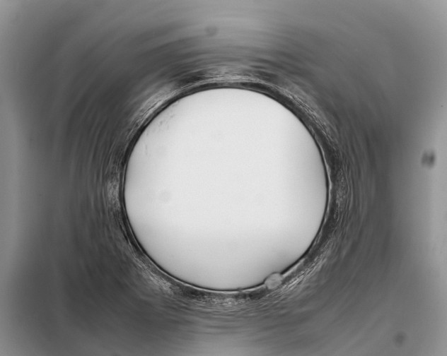 X0000097901273200804111035