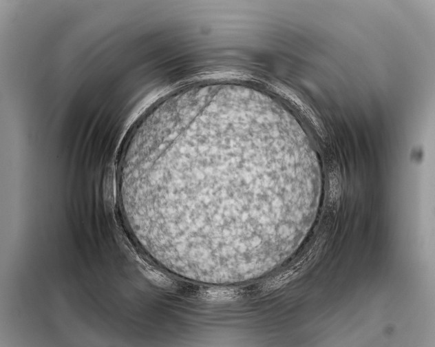 X0000097901274200804111035