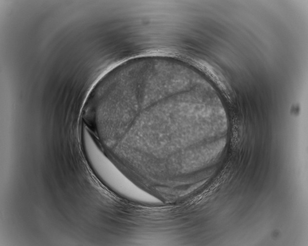 X0000097901276200804111035