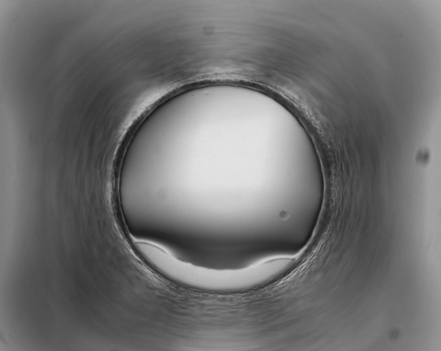 X0000097901277200804111035