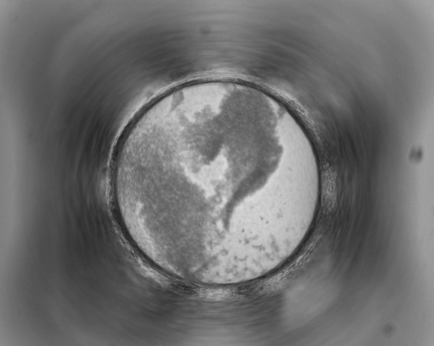 X0000097901278200804111035