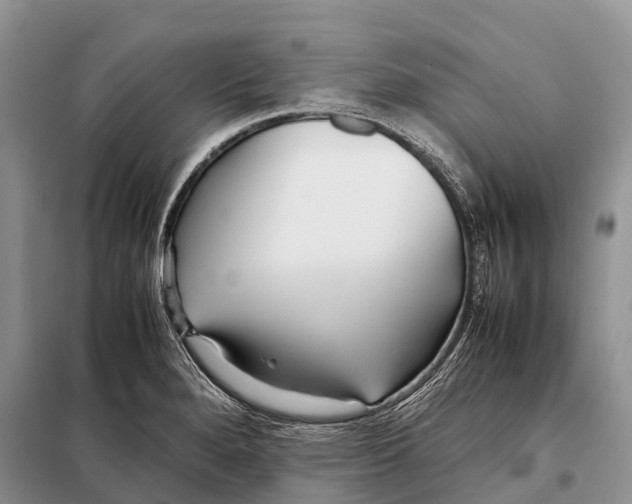 X0000097901280200804111035