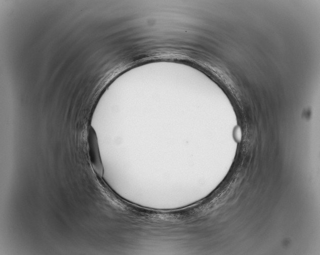 X0000097901281200804111035