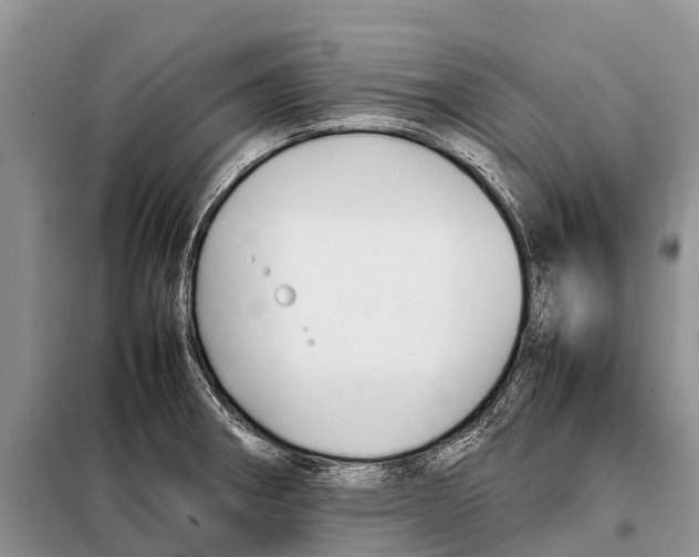 X0000097901282200804111035