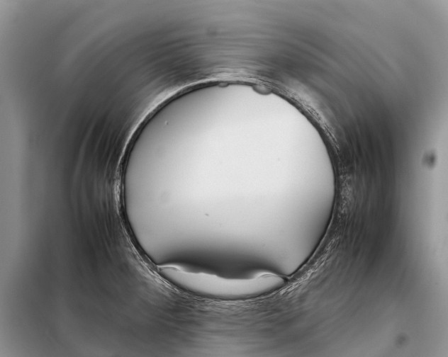 X0000097901284200804111035