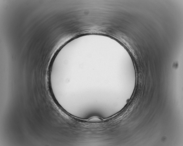 X0000097901285200804111035