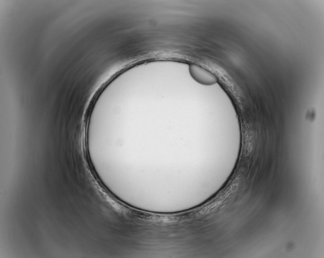 X0000097901286200804111035