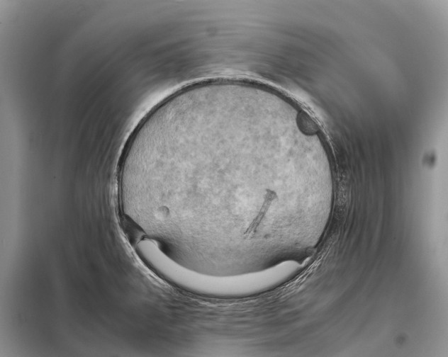 X0000097901287200804111035