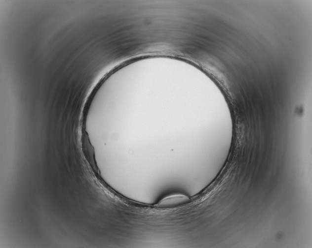 X0000097901288200804111034