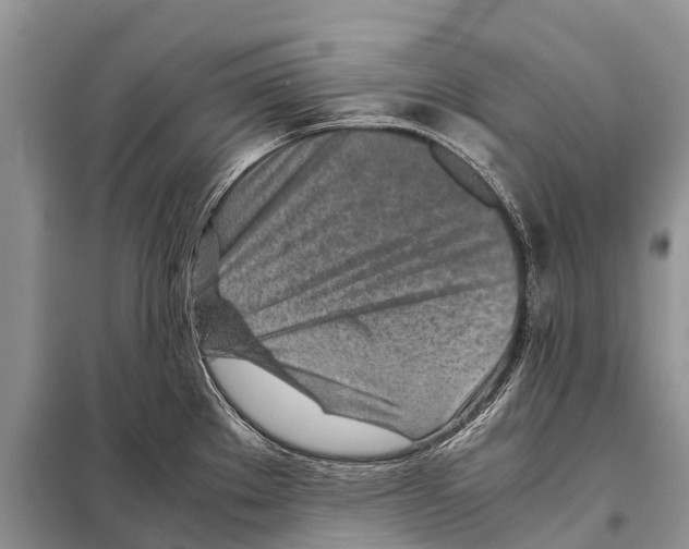 X0000097901289200804111034