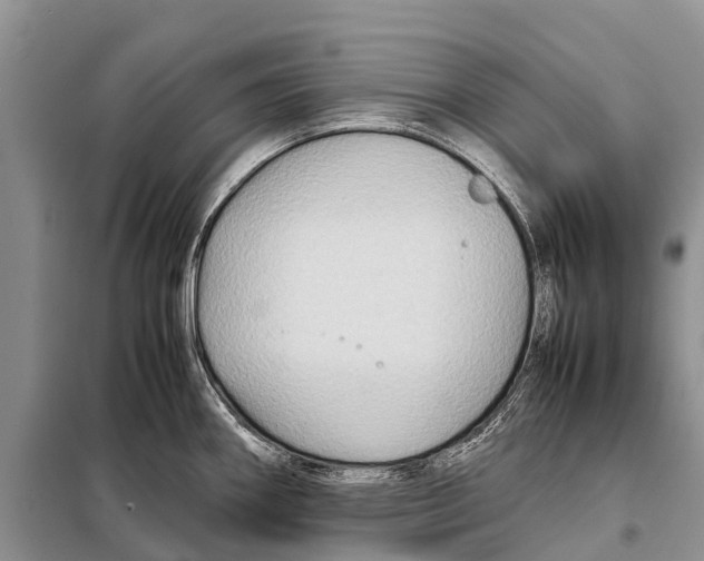 X0000097901290200804111034