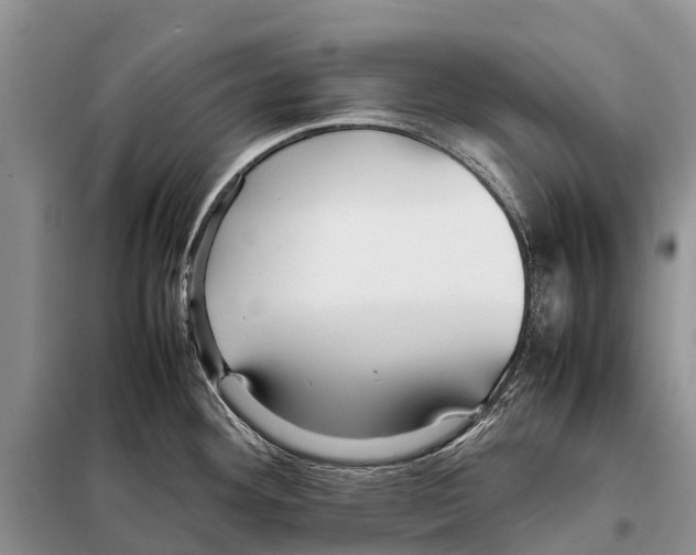 X0000097901292200804111034