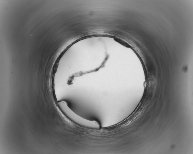 X0000097901293200804111034