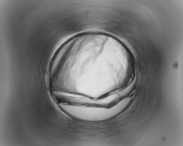 X0000097901295200804111034