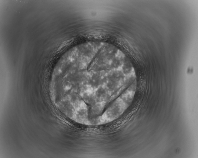 X0000097901297200804111034