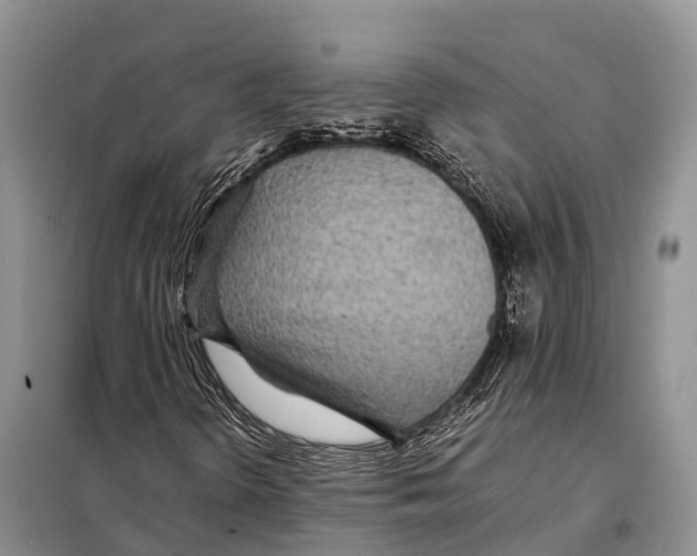 X0000097901298200804111034