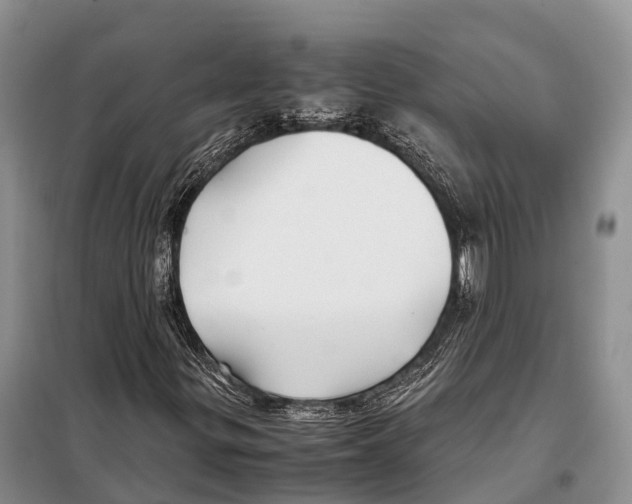 X0000097901299200804111034