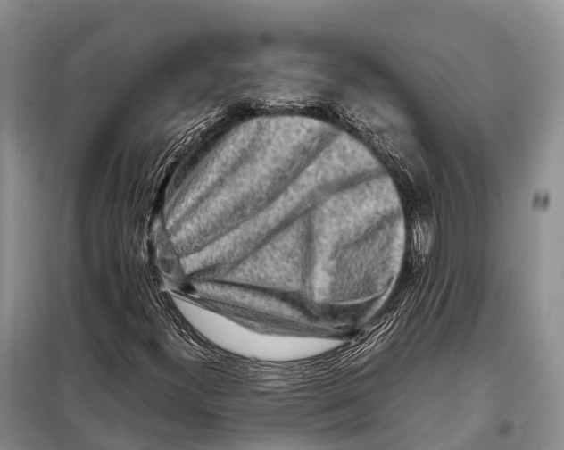 X0000097901300200804111034