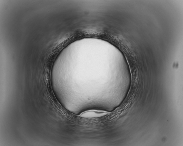 X0000097901301200804111034