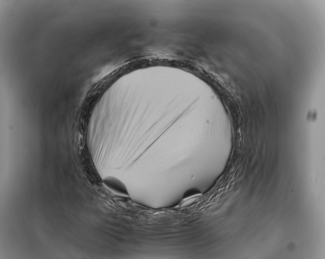 X0000097901303200804111034