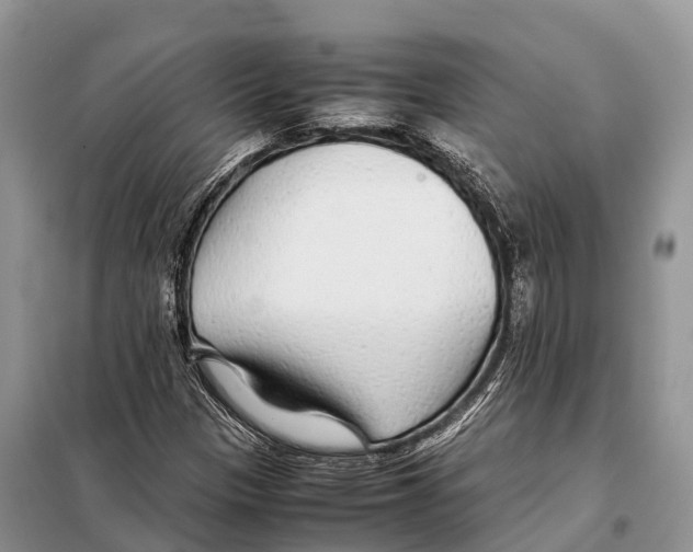 X0000097901305200804111034