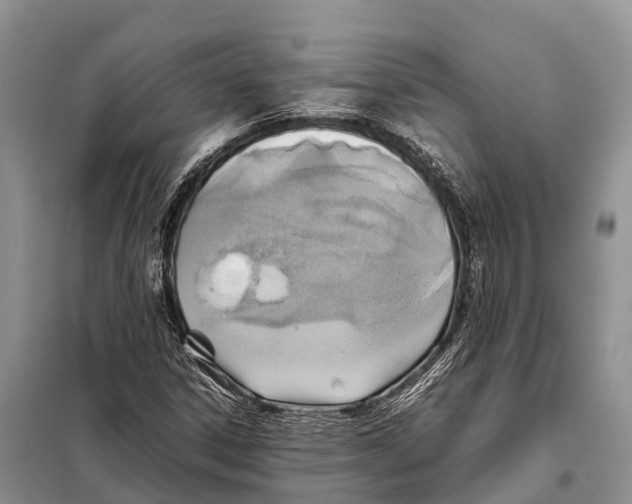 X0000097901306200804111034