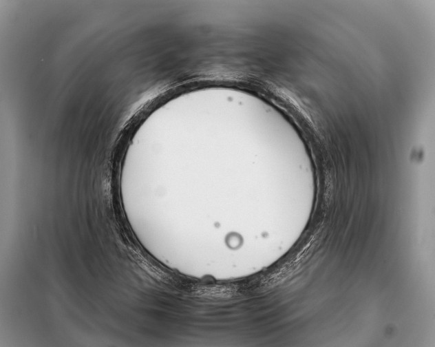 X0000097901307200804111034