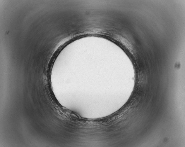 X0000097901308200804111034