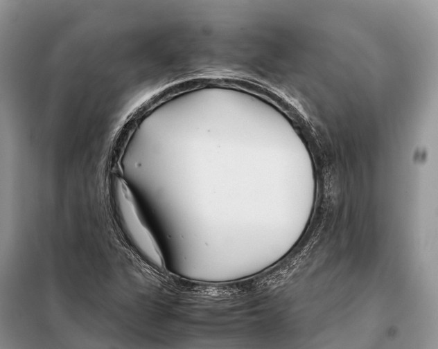 X0000097901311200804111034