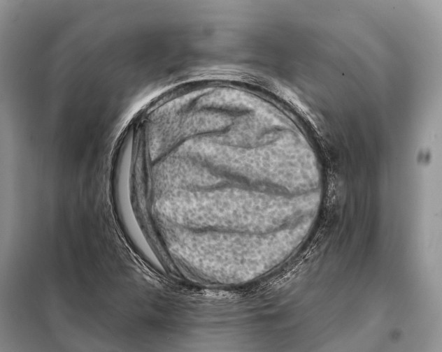 X0000097901312200804111034