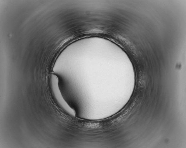 X0000097901313200804111034