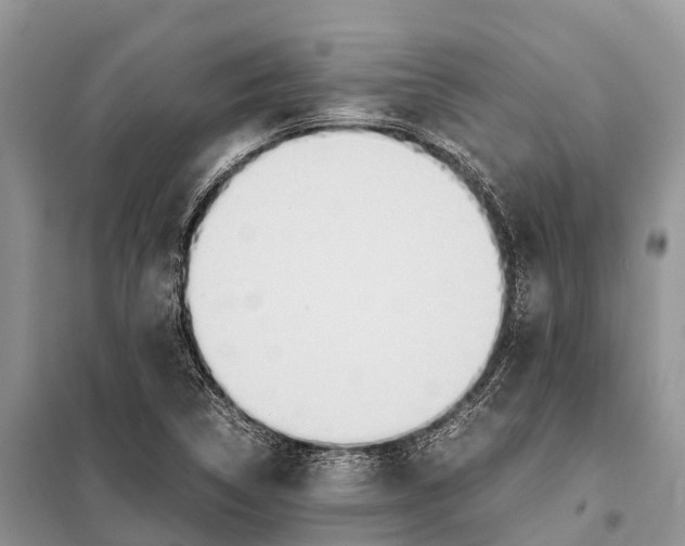 X0000097901314200804111034