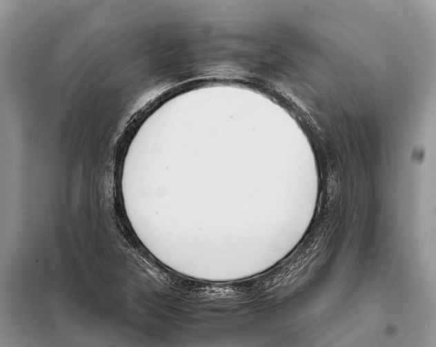 X0000097901315200804111034