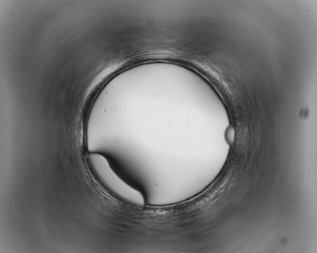 X0000097901317200804111034