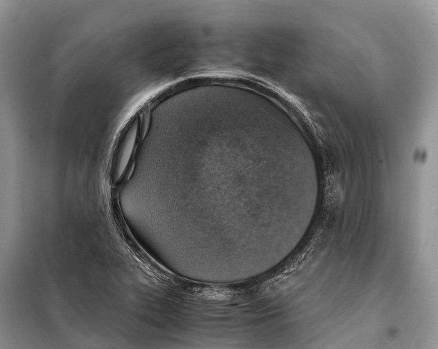 X0000097901319200804111034