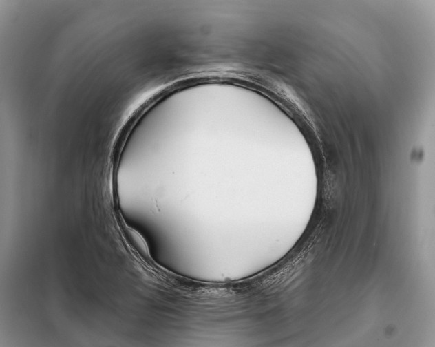 X0000097901320200804111034