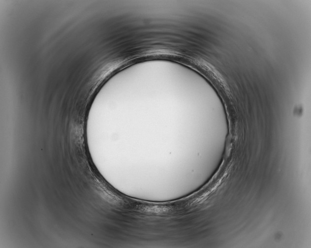 X0000097901321200804111034